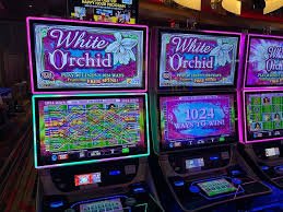gk8 slot featured game showcase